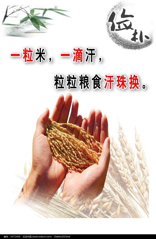菲尼克斯大学Computer Science Diploma